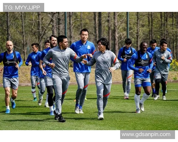 上海足球队的蜕变之路：从地方球队到国际舞台的崛起与挑战