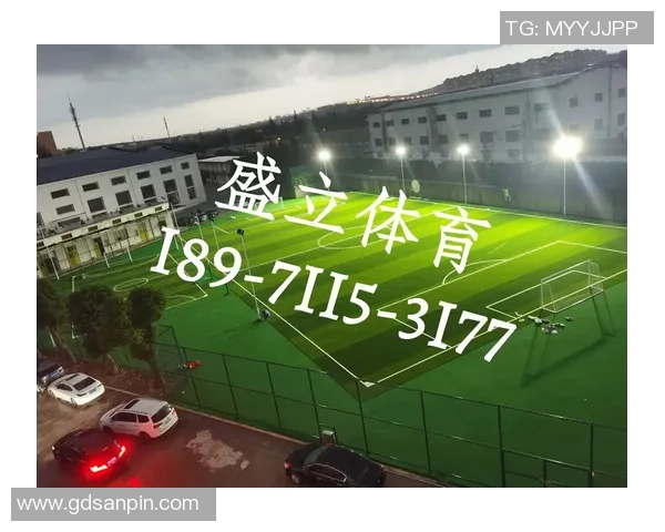 专业足球场草坪的选择与维护对比赛质量的重要性分析