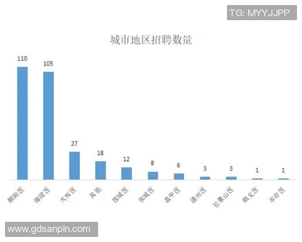 北京羽毛球队状态对比独家分析揭示球队潜力与挑战