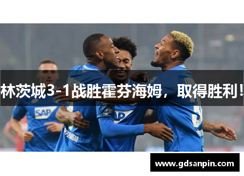 林茨城3-1战胜霍芬海姆，取得胜利！