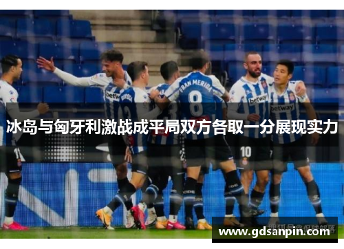 冰岛与匈牙利激战成平局双方各取一分展现实力