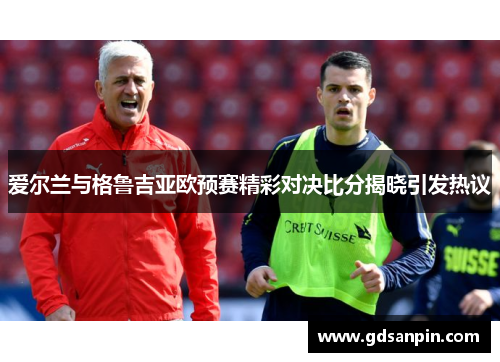 爱尔兰与格鲁吉亚欧预赛精彩对决比分揭晓引发热议